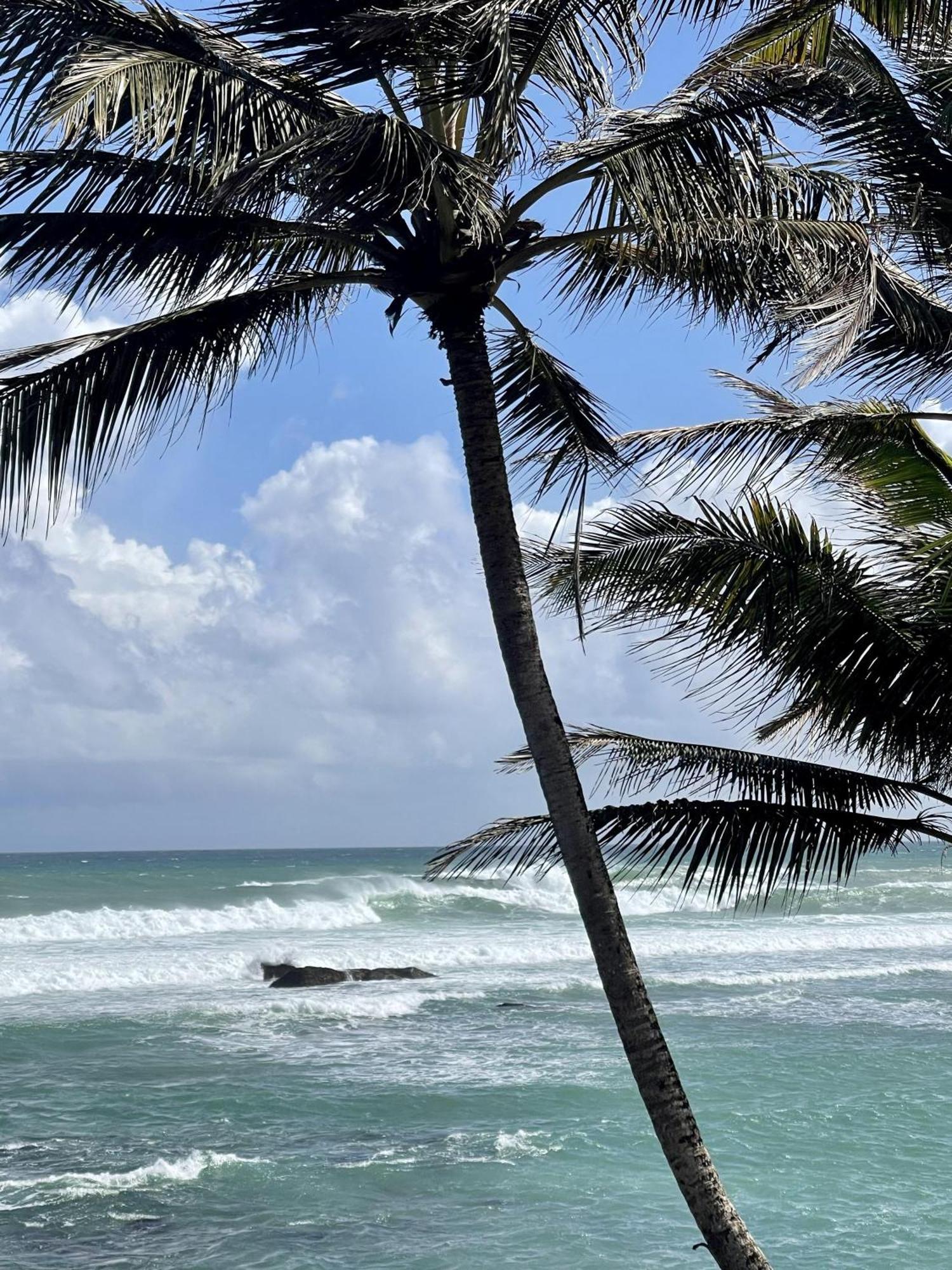 D' Art Villa Retreat And Spa Tangalle Exterior foto
